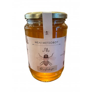 ΛΙΓΚΑ ΒΑΣΙΛΙΚΗ Thyme Honey Metsovou 1kg